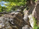 Forêt après le Saut